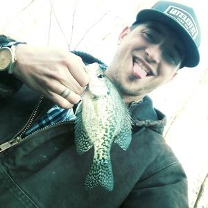 Meet your Posher, Daniel